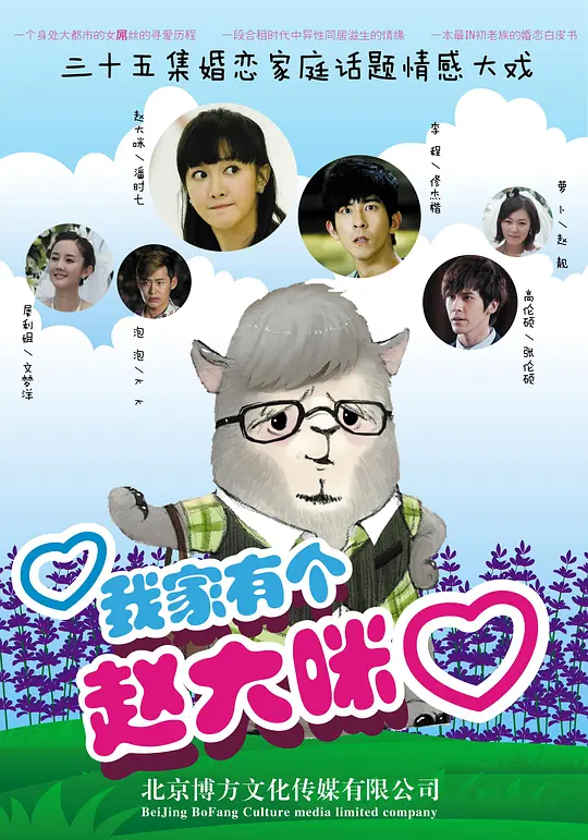 我家有个赵大咪