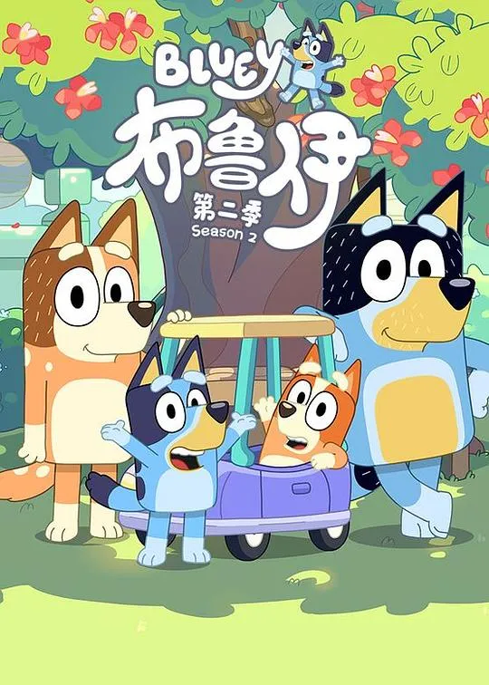 布鲁伊第二季