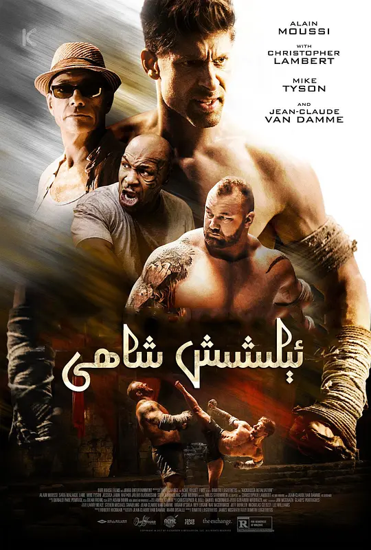 搏击之王：反击