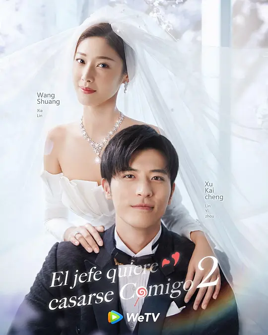 奈何boss要娶我2