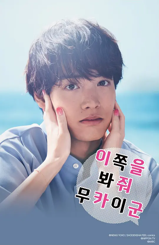 往这边看 向井君