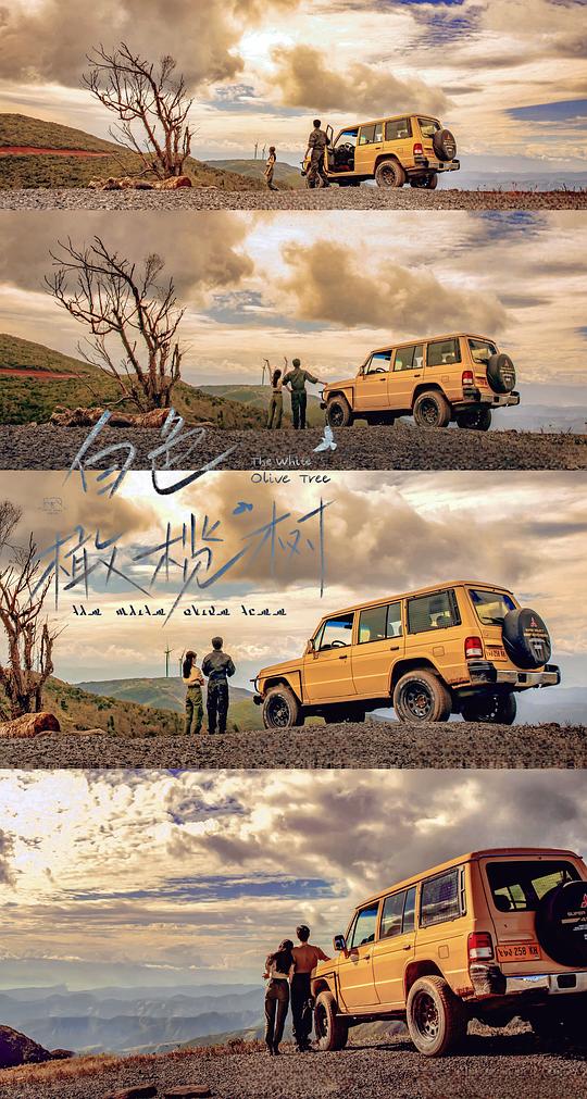 白色橄榄树