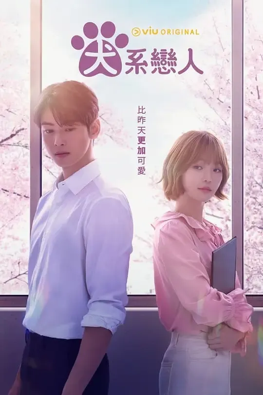 今天也很可爱的狗