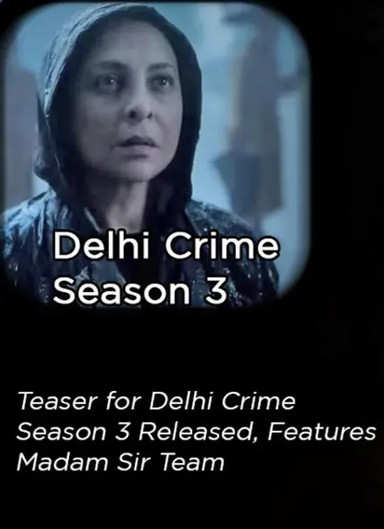 德里罪案 第三季