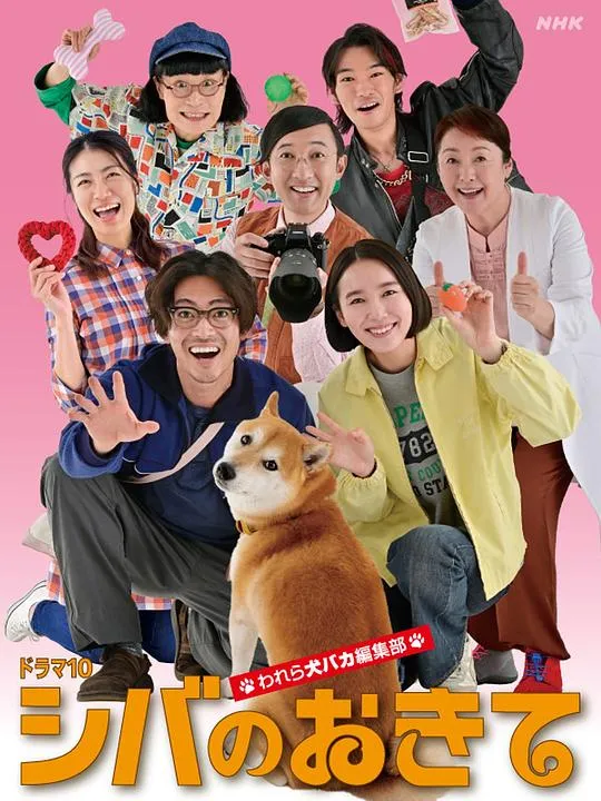 柴犬的规矩我们这群狗痴编辑部