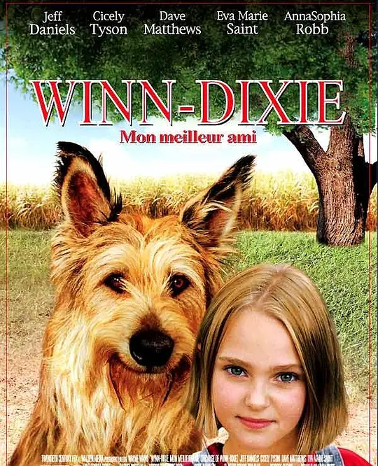 都是戴茜惹的祸